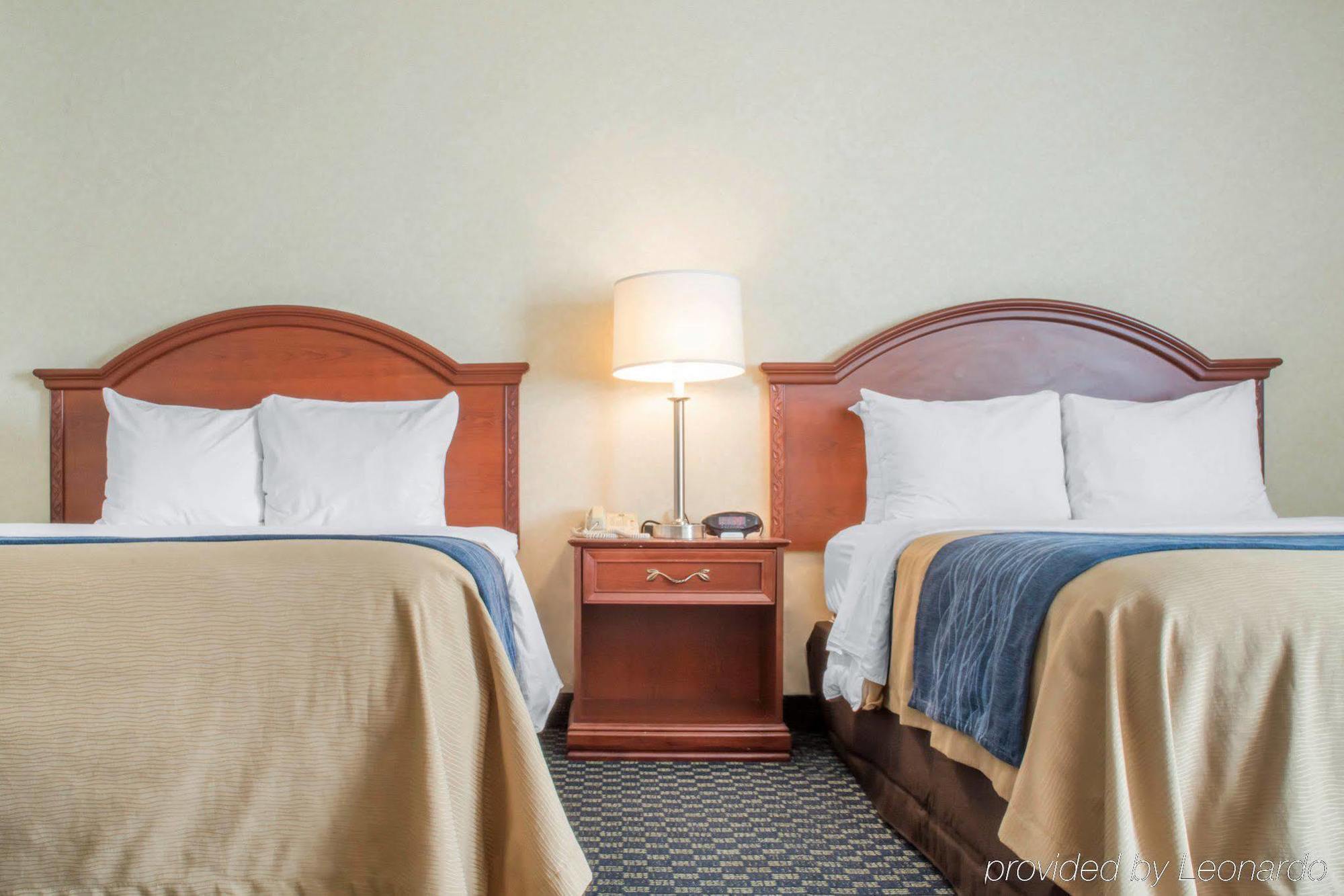 Hammock Hotel Rochester Niagara Falls Dış mekan fotoğraf